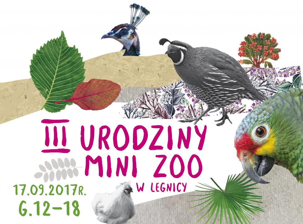Trzecie urodziny mini-zoo